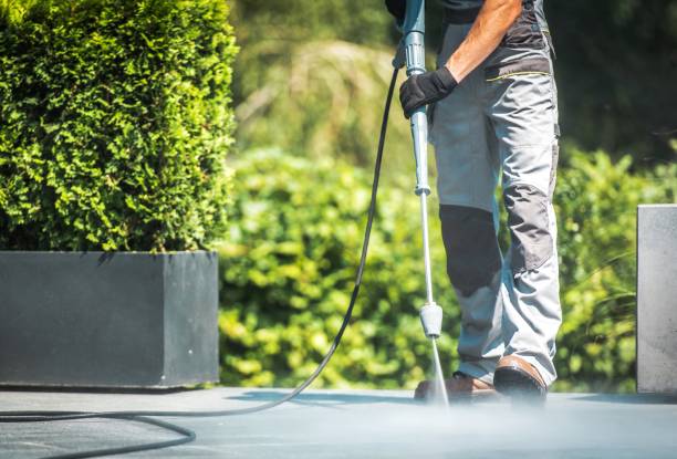 Best Gutter Cleaning  in Palestine, IL
