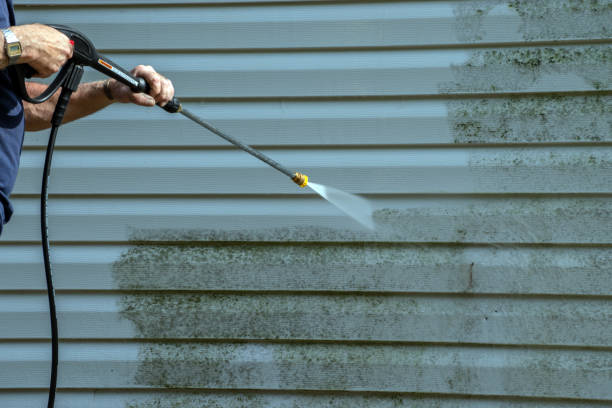 Best Pool Deck Cleaning  in Palestine, IL